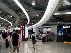 -东方体育中心(地铁站)