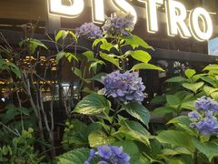 -ibarrel爱杯·bistro&brunch(江宁路店)