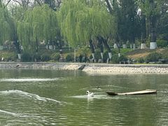 -中国农业博物馆