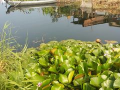 -白洋淀景区