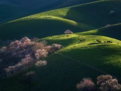 -加帕瑜伽培训学院