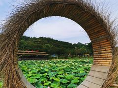 -红山村
