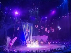 -广州长隆国际大马戏