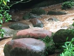 -赤水丹霞旅游区·佛光岩