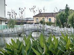 -丝绸小镇荻港古村