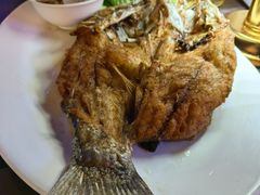 -Green Tree Rest. & Pub