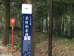 -天目湖涵田半山温泉