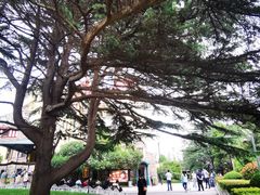 -青岛德国总督楼旧址博物馆