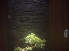 -臻享养生·SPA·影院式足道(汇臻店)