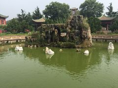 iphone_upload_pic-茂陵博物馆