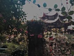 -杭州黄龙洞