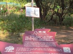 -北海金海湾红树林生态旅游区