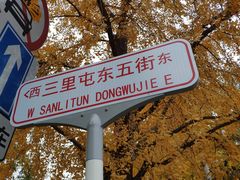 -三里屯东五街银杏大道