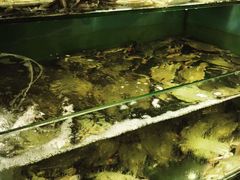-金海湾海鲜总店