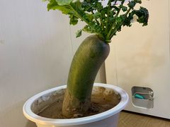 -方恒购物中心(望京小街店)