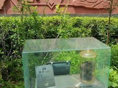 -广州神农草堂中医药博物馆
