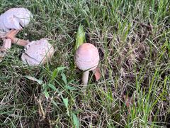 -四川大学(华西校区)