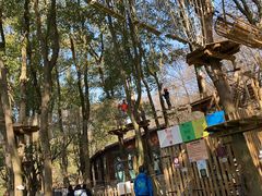 -WeLope紫金山探险公园
