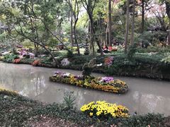 -汇龙潭
