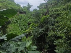 -海口火山口国家地质公园