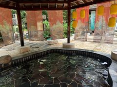 -明月山天沐温泉度假村