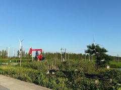 -小李子油焖大虾向阳总店