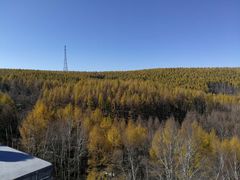 -塞罕坝国家级自然保护区