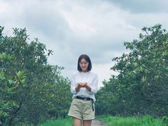 -塘栖枇杷特色园区