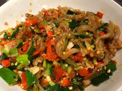 鸭掌筋-壹盏灯(惠农店)