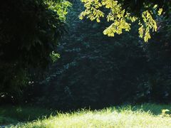 -张坝桂圆林公园
