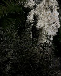 -昆泰酒店·会议咨询