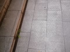 -约翰·菲茨杰拉德·肯尼迪国际机场