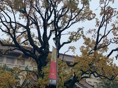 -东京国立博物馆
