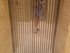 -芽庄喜来登水疗酒店