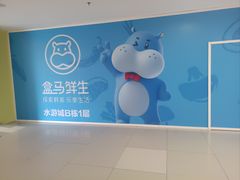 -鹏欣水游城