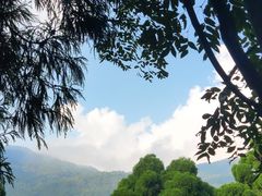 -鼓岭旅游度假区