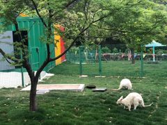 -无锡动物园·太湖欢乐园