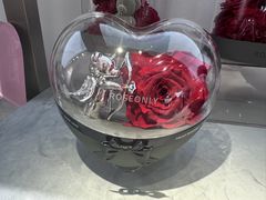 -ROSEONLY诺誓(广州K11店)