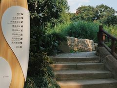 -成都市活水公园