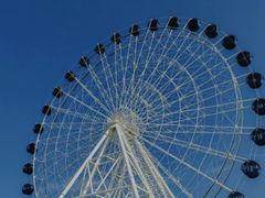 -秦皇岛乐岛海洋王国