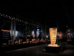 -盘龙城国家考古遗址公园