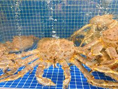-骏莱海鲜鱼港(五角场店)