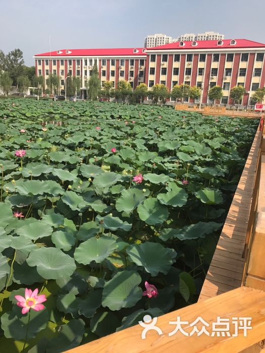 天津農學院圖書館圖片 - 第1張