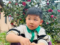 -杨家堂村