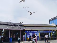 -摩天岭风景区