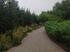 -永定河休闲森林公园