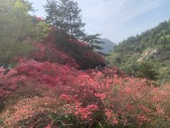 -木兰云雾山