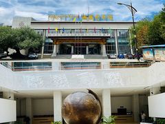 -西藏自治区图书馆