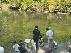 -柳侯公园