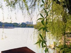 -八大山人梅湖景区